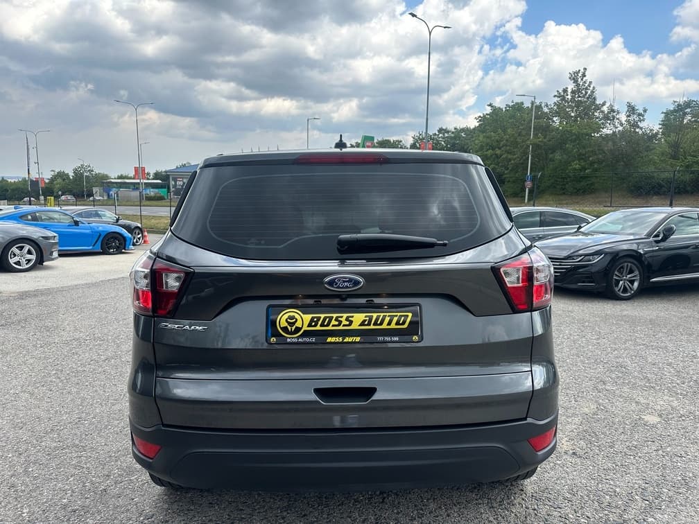 2019 Ford OSTATNÍ - 7