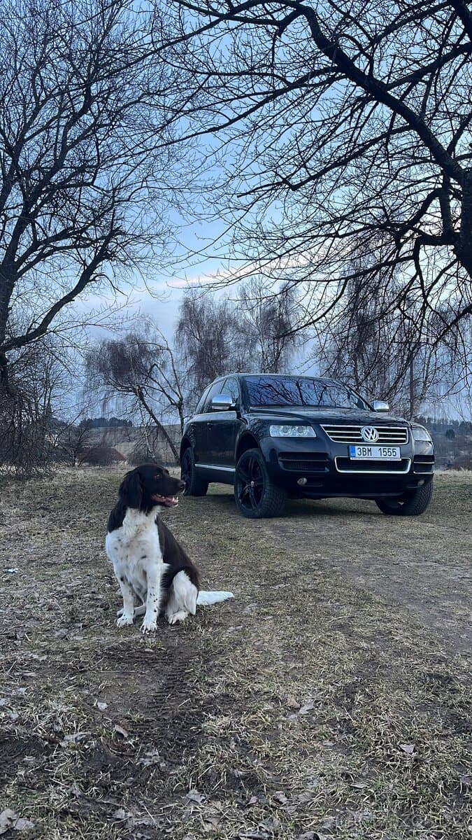 2004 Volkswagen TOUAREG - 7