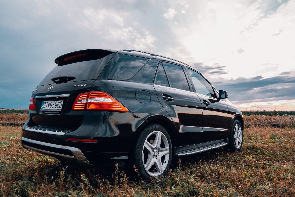 2014 Mercedes-Benz M-CLASS - 7