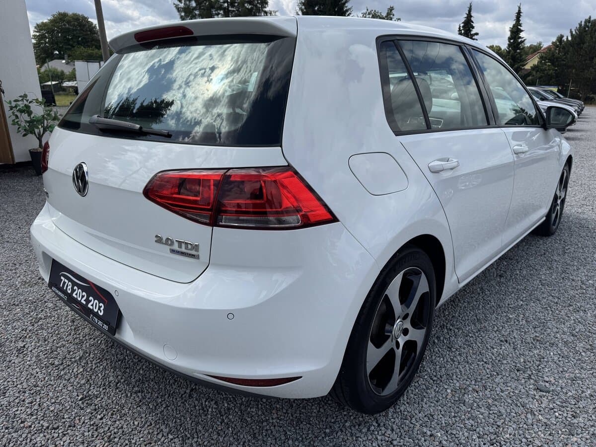 2013 Volkswagen GOLF - 7
