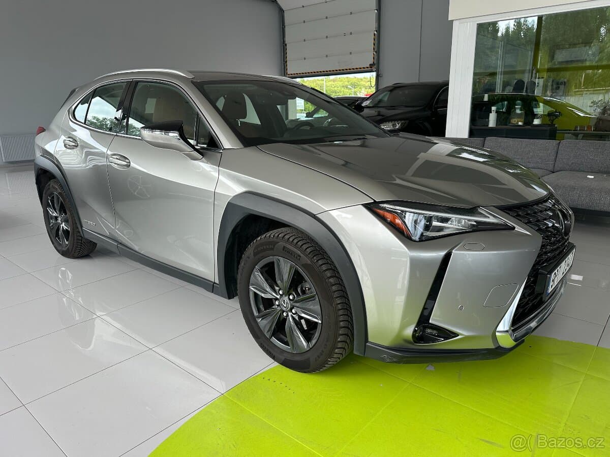 2019 Lexus UX - 8