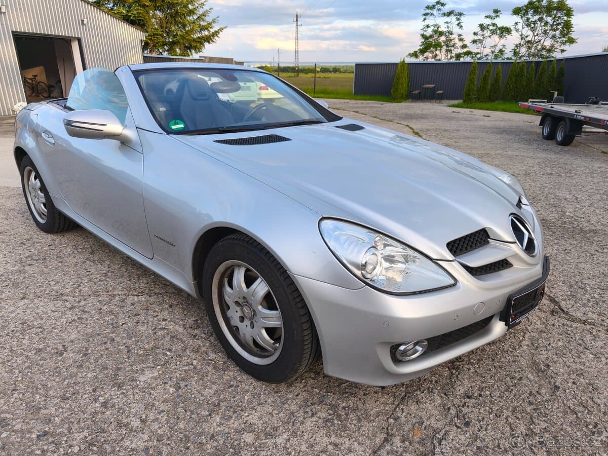 2010 Mercedes-Benz OSTATNÍ - 8