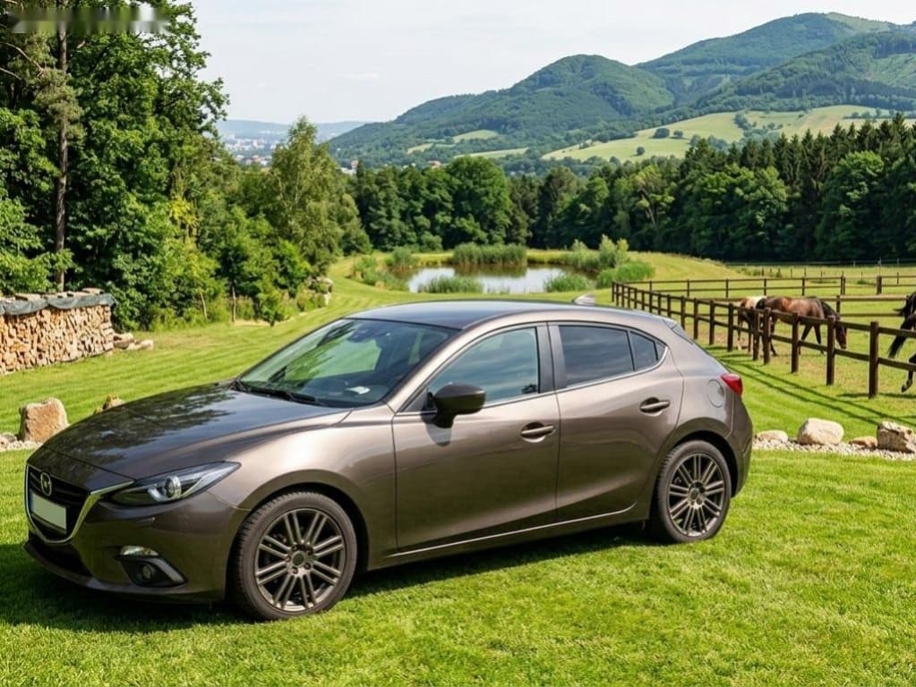 2014 Mazda 3 - 8