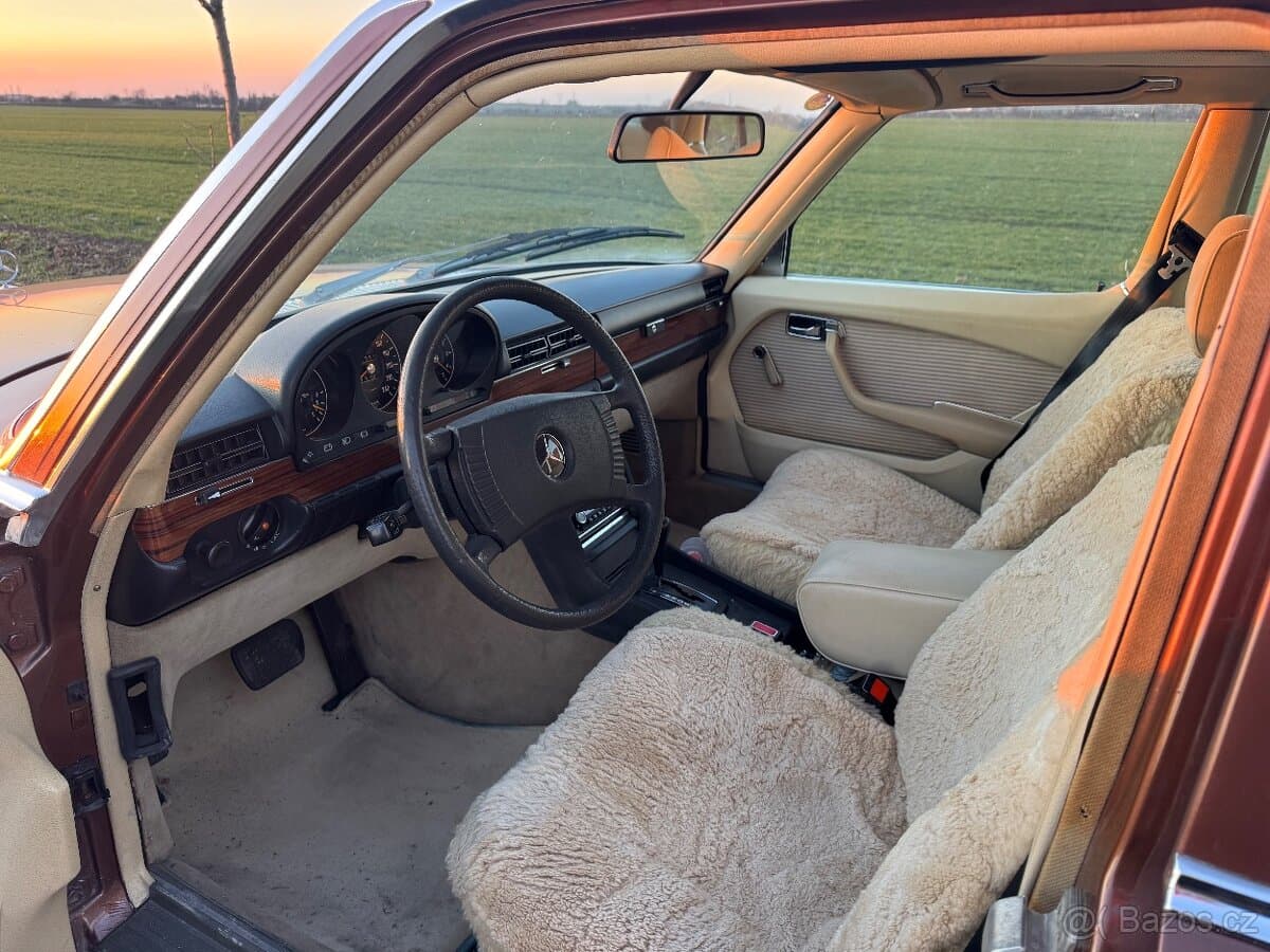 1976 Mercedes-Benz OSTATNÍ - 8