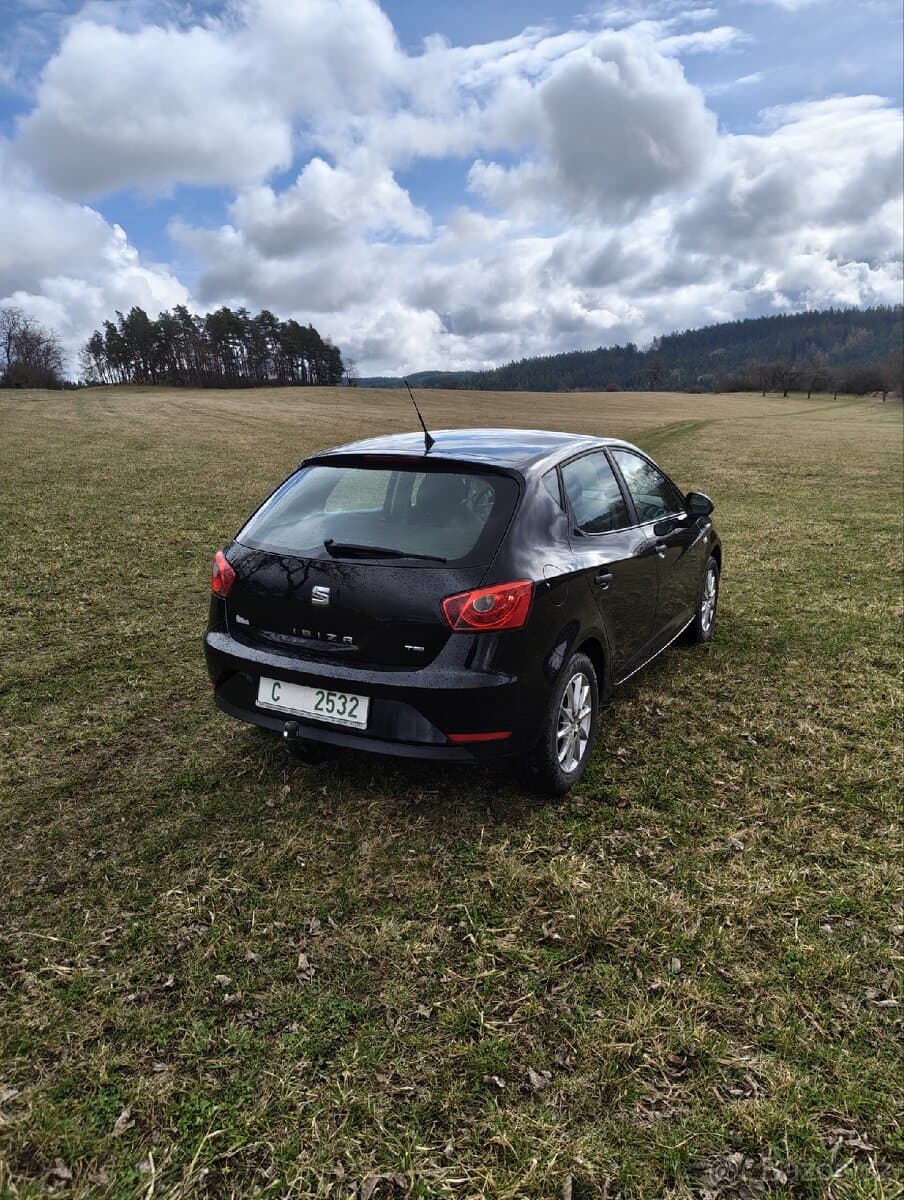 2015 Seat IBIZA - 8