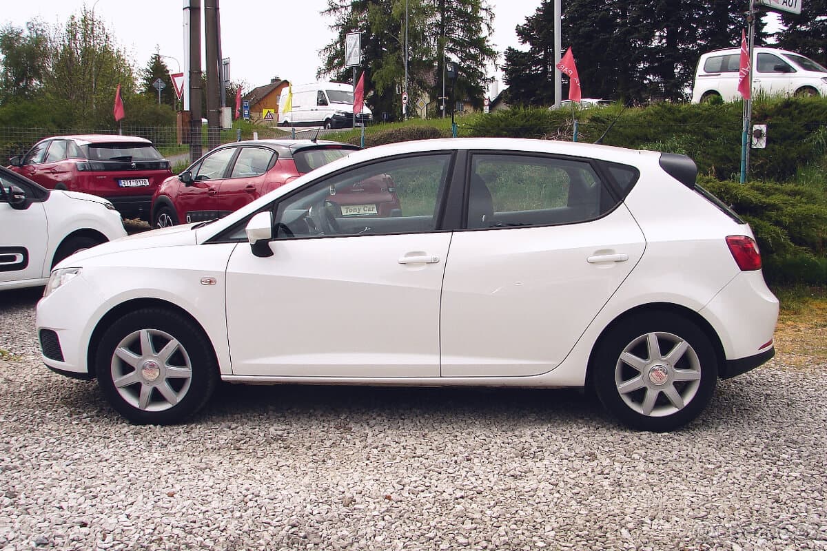 2009 Seat IBIZA - 8