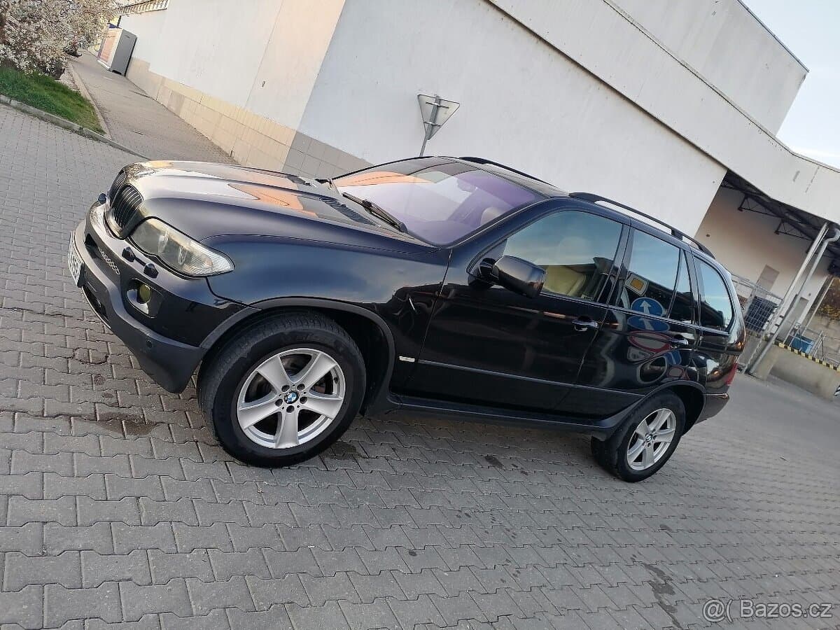 2006 BMW X5 - 8