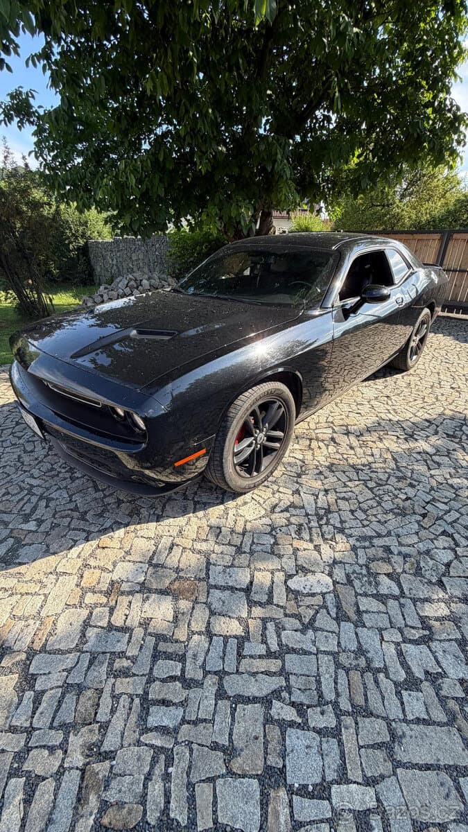2019 Dodge CHALLENGER - 8