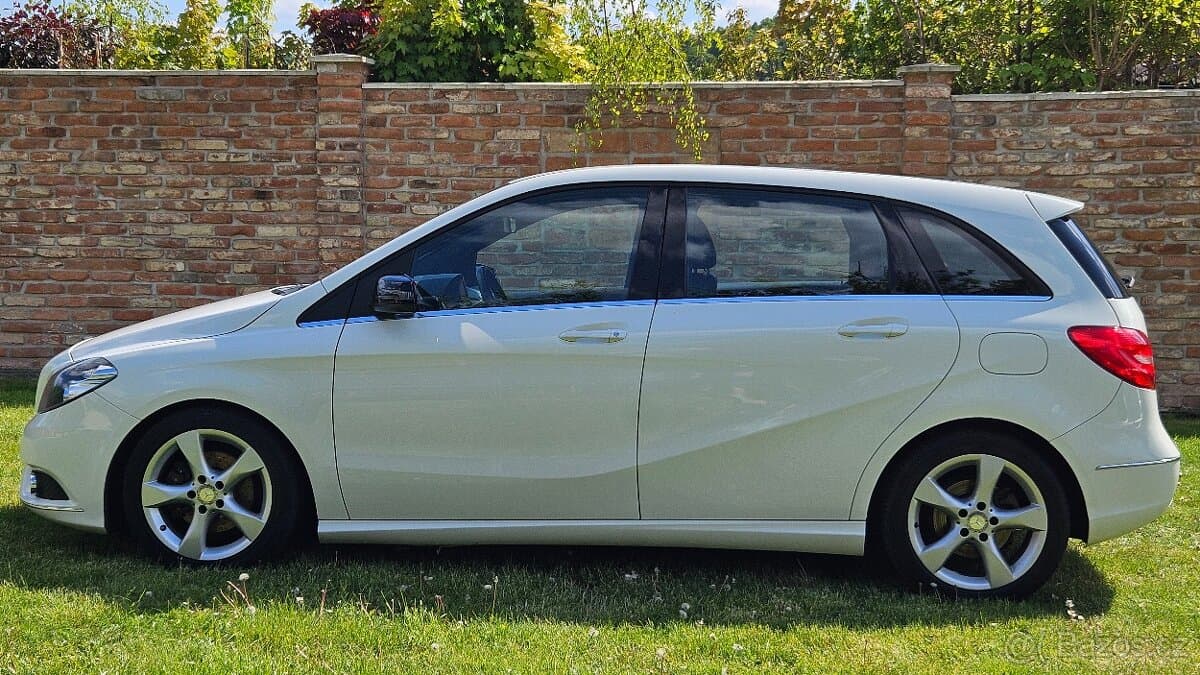 2014 Mercedes-Benz OSTATNÍ - 8