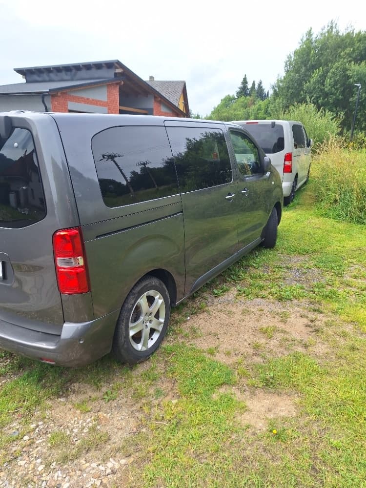 2018 Peugeot TRAVELLER - 8