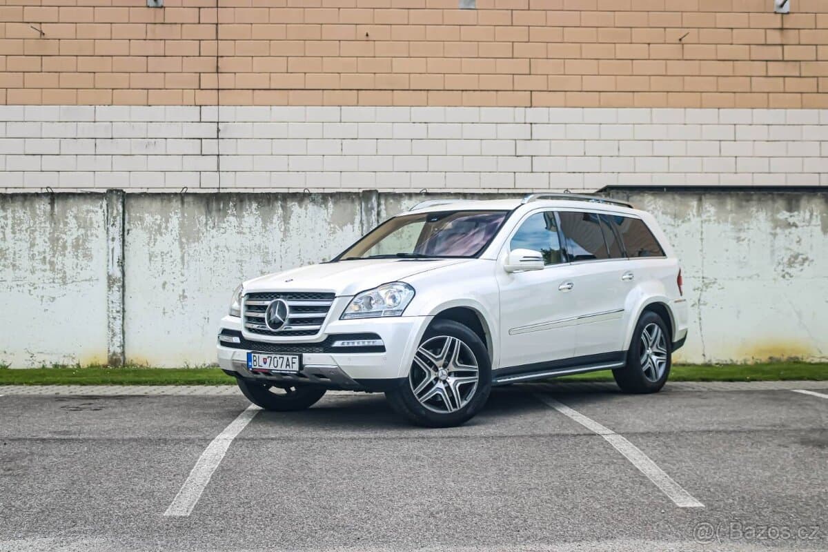 2010 Mercedes-Benz GL - 8