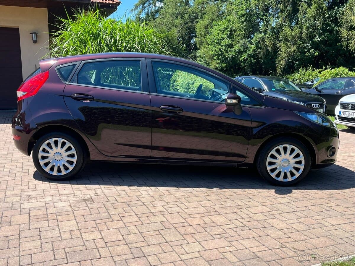 2010 Ford FIESTA - 8