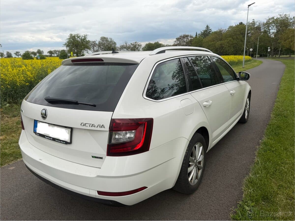 2019 Škoda OCTAVIA - 8