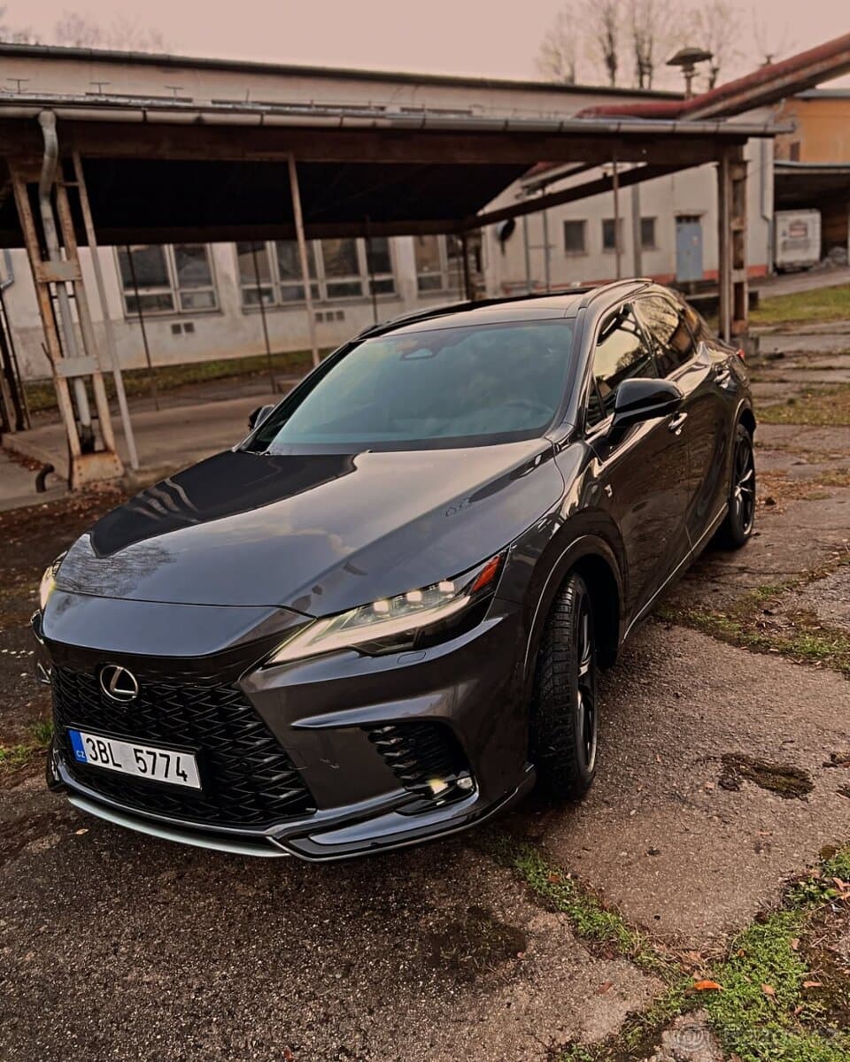 2024 Lexus RX - 8