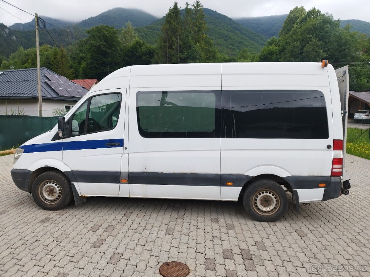 2009 Mercedes-Benz SPRINTER - 8