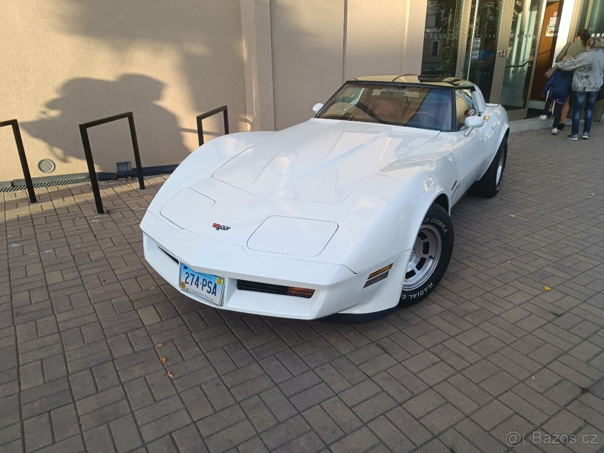 1982 Chevrolet CORVETTE - 9