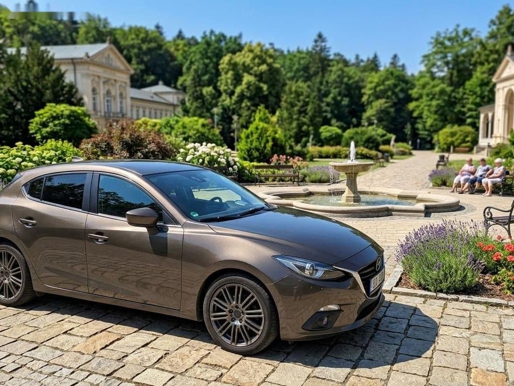 2014 Mazda 3 - 9