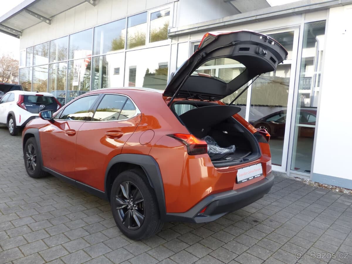 2019 Lexus UX - 9