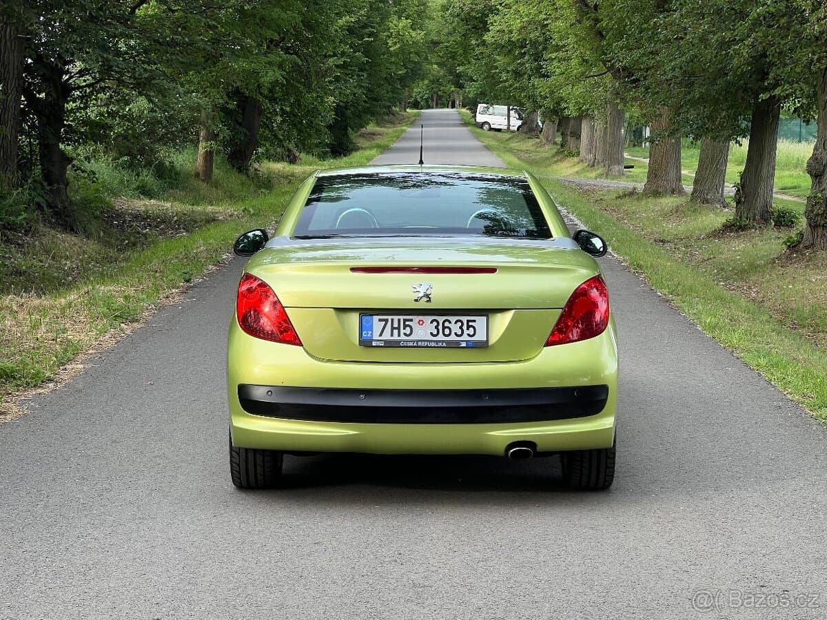 2007 Peugeot 207 - 9
