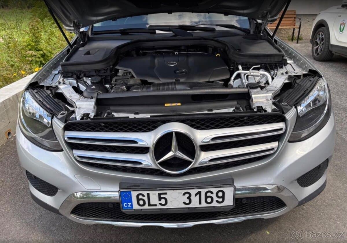 2017 Mercedes-Benz OSTATNÍ - 9