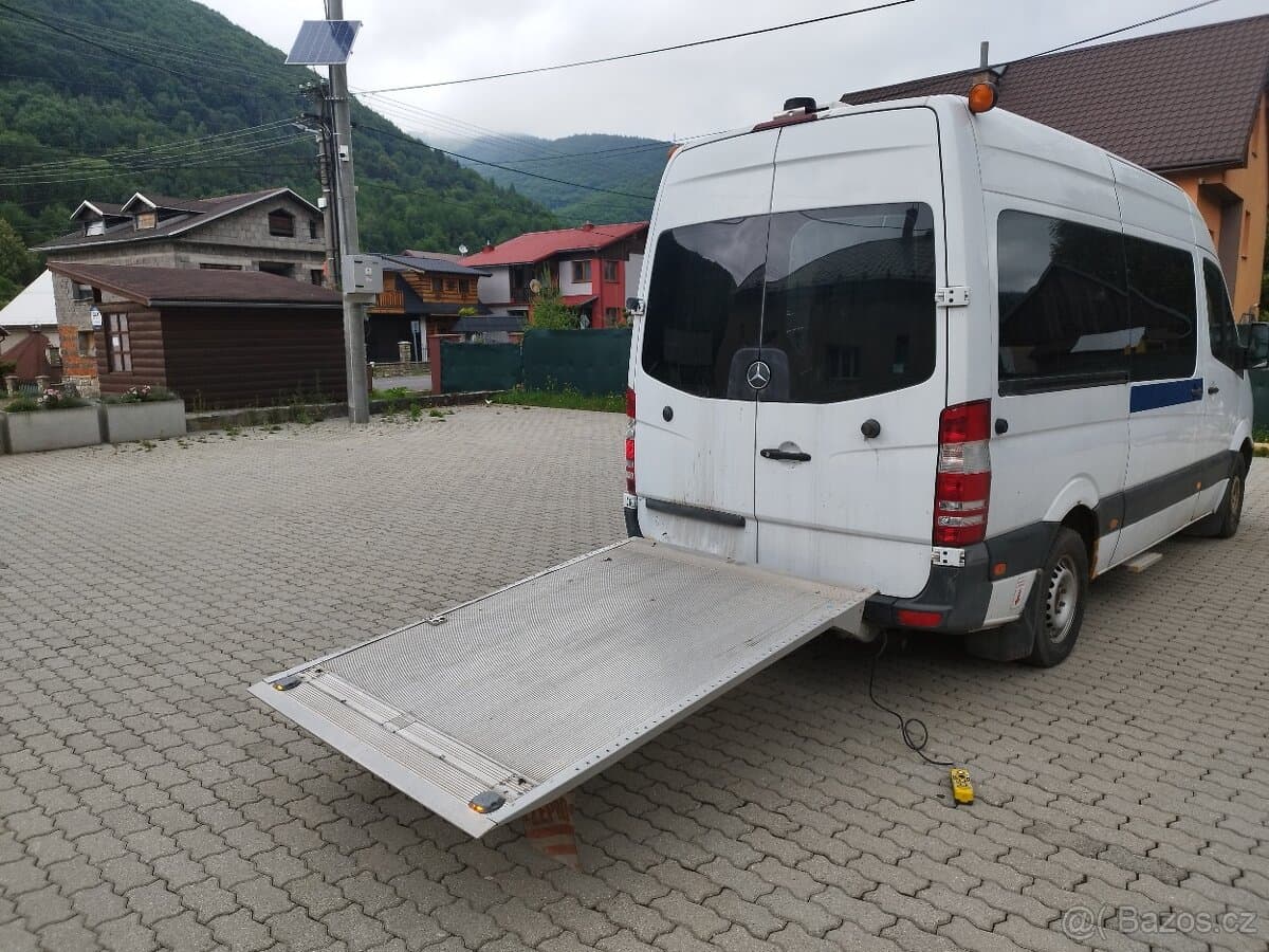 2009 Mercedes-Benz SPRINTER - 9