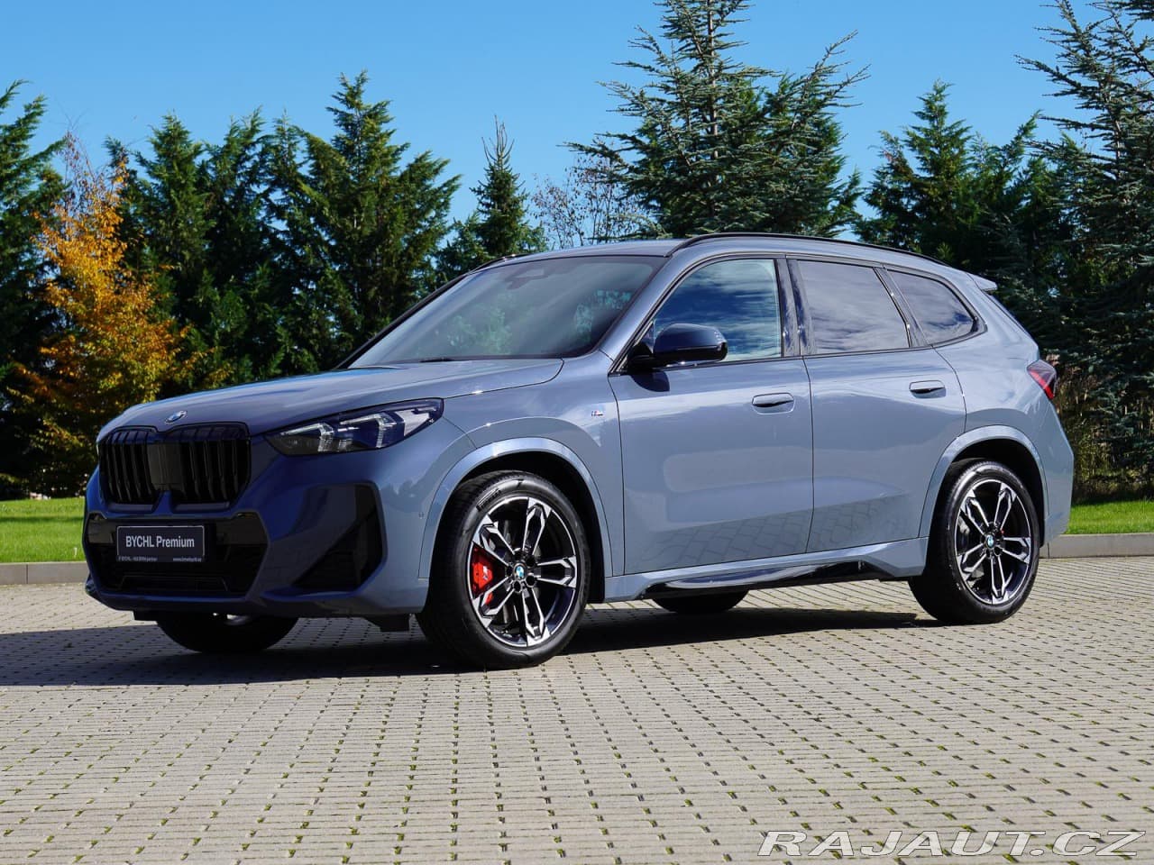 BMW X1 xDrive20d (U11) M Sport P