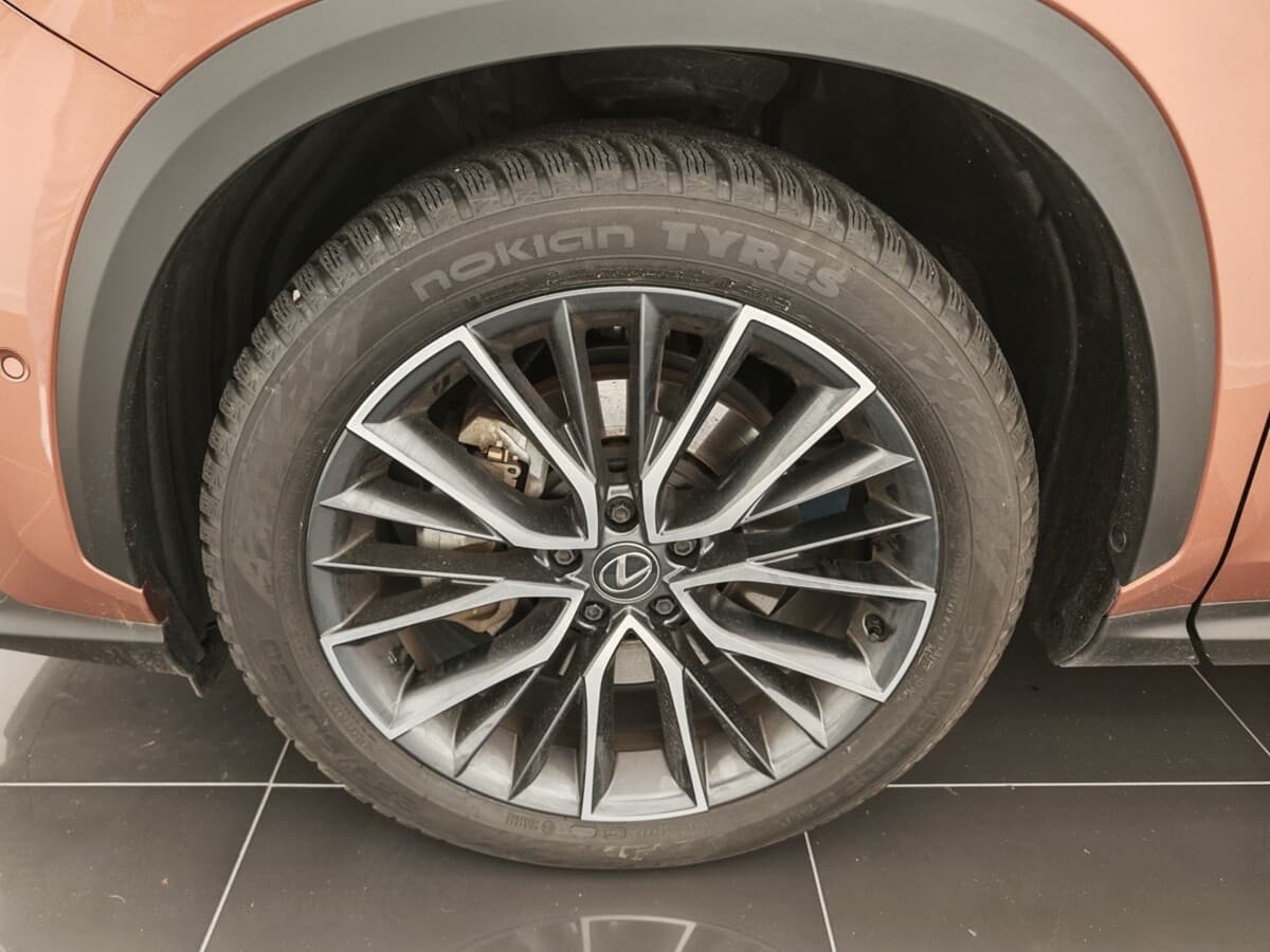 2024 Lexus Ostatní - 11