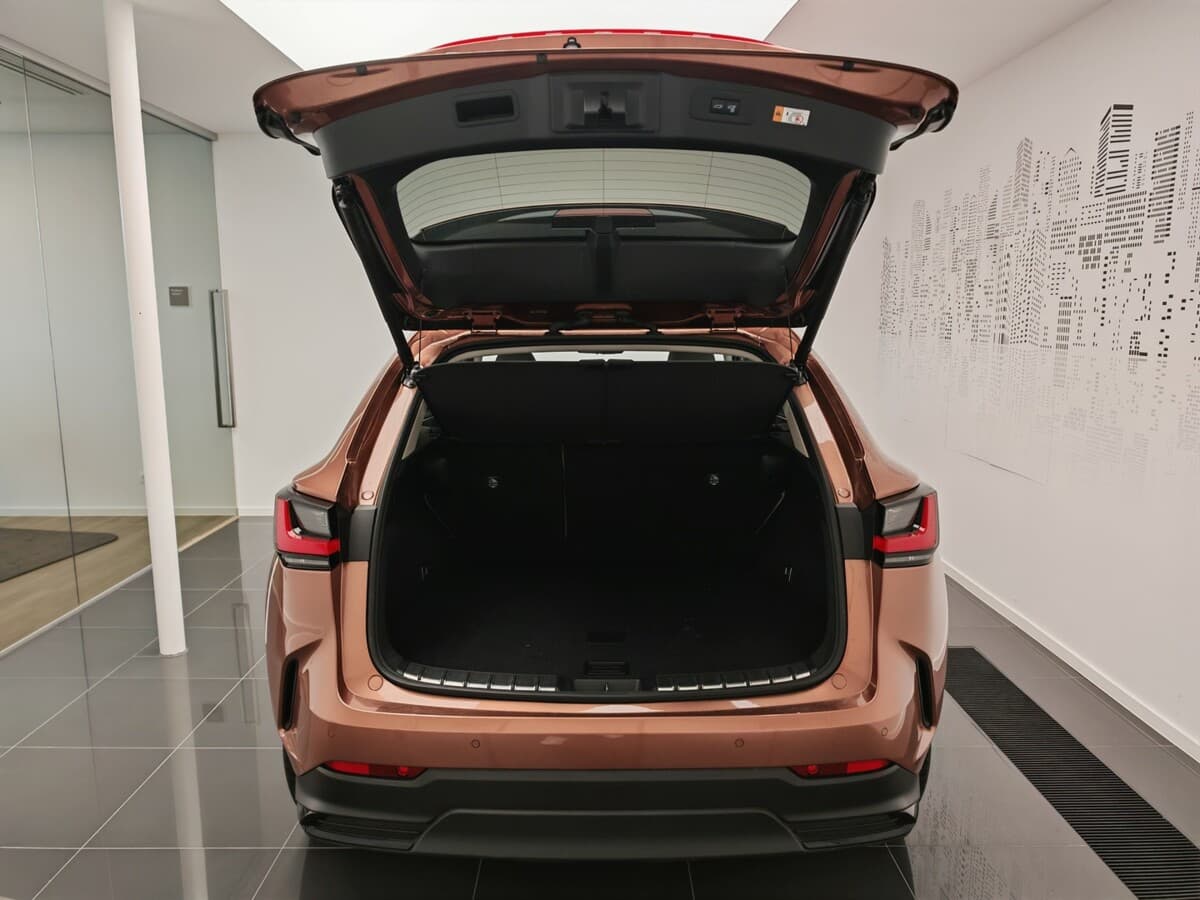 2024 Lexus Ostatní - 12