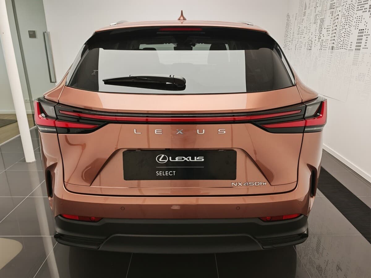 2024 Lexus Ostatní - 5