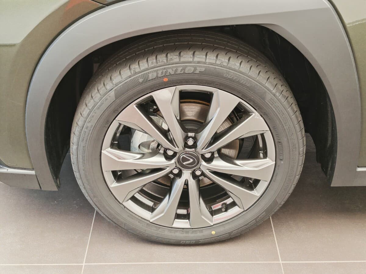 2024 Lexus Ostatní - 10