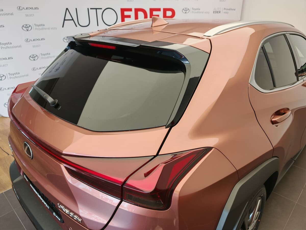 2025 Lexus Ostatní - 10