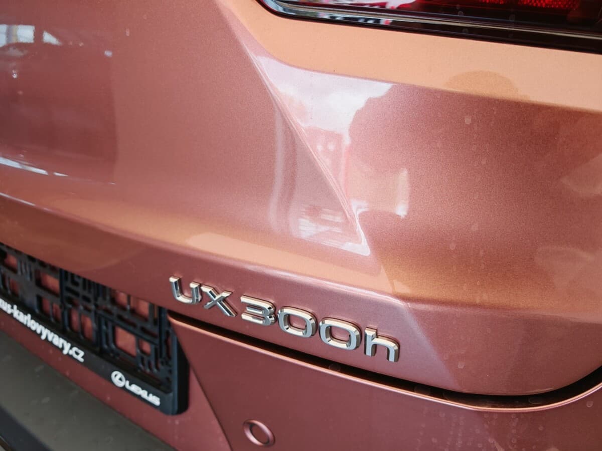 2025 Lexus Ostatní - 11