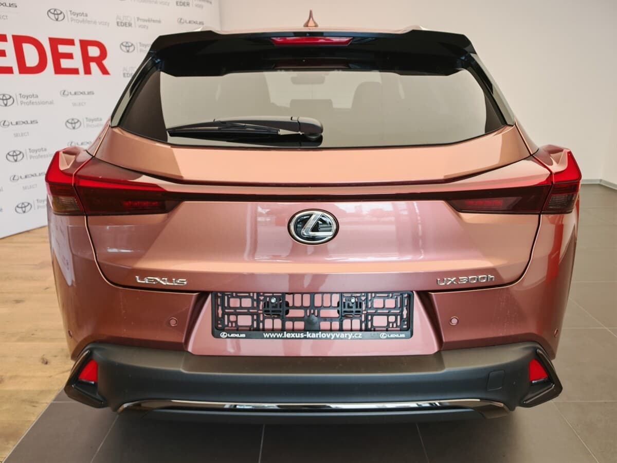 2025 Lexus Ostatní - 8