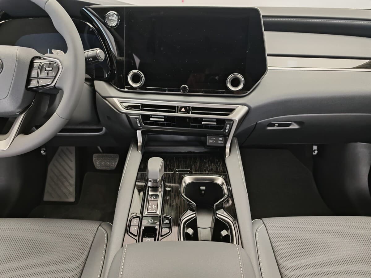 2025 Lexus Rx - 16
