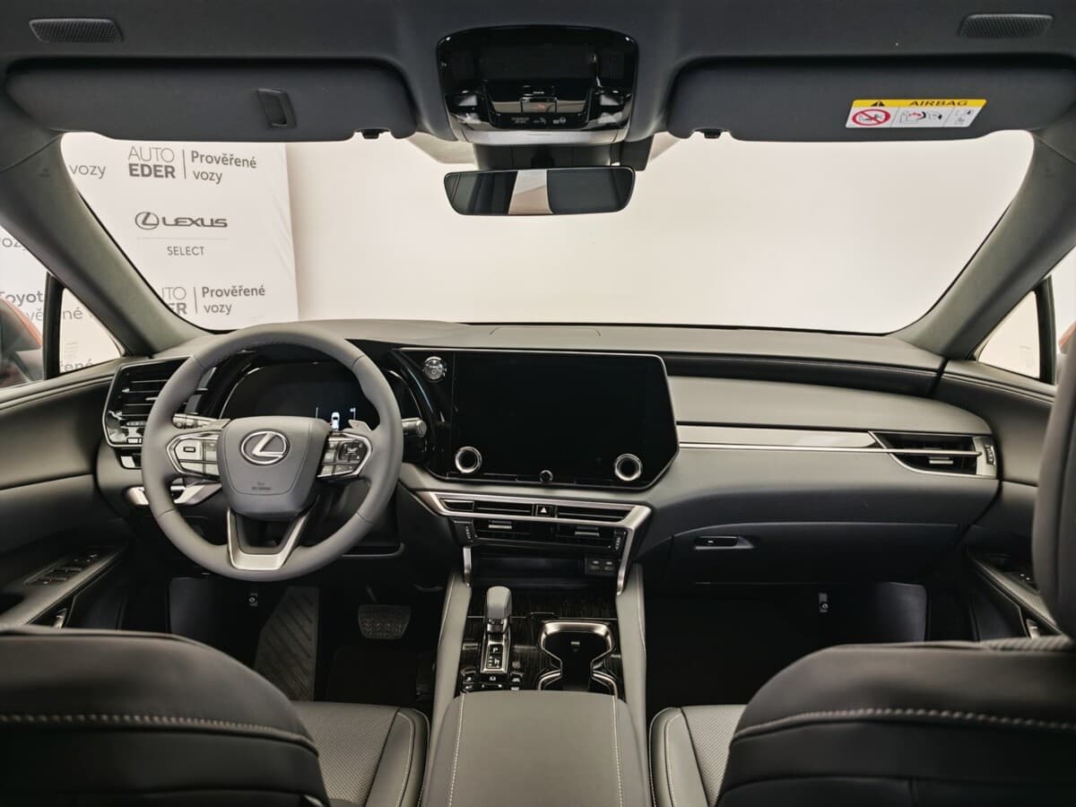 2025 Lexus Rx - 17