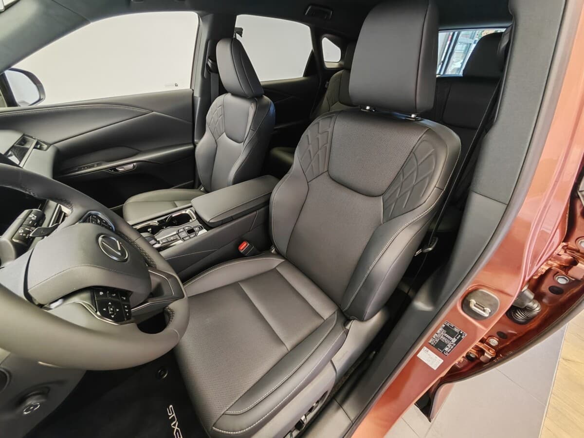 2025 Lexus Rx - 18
