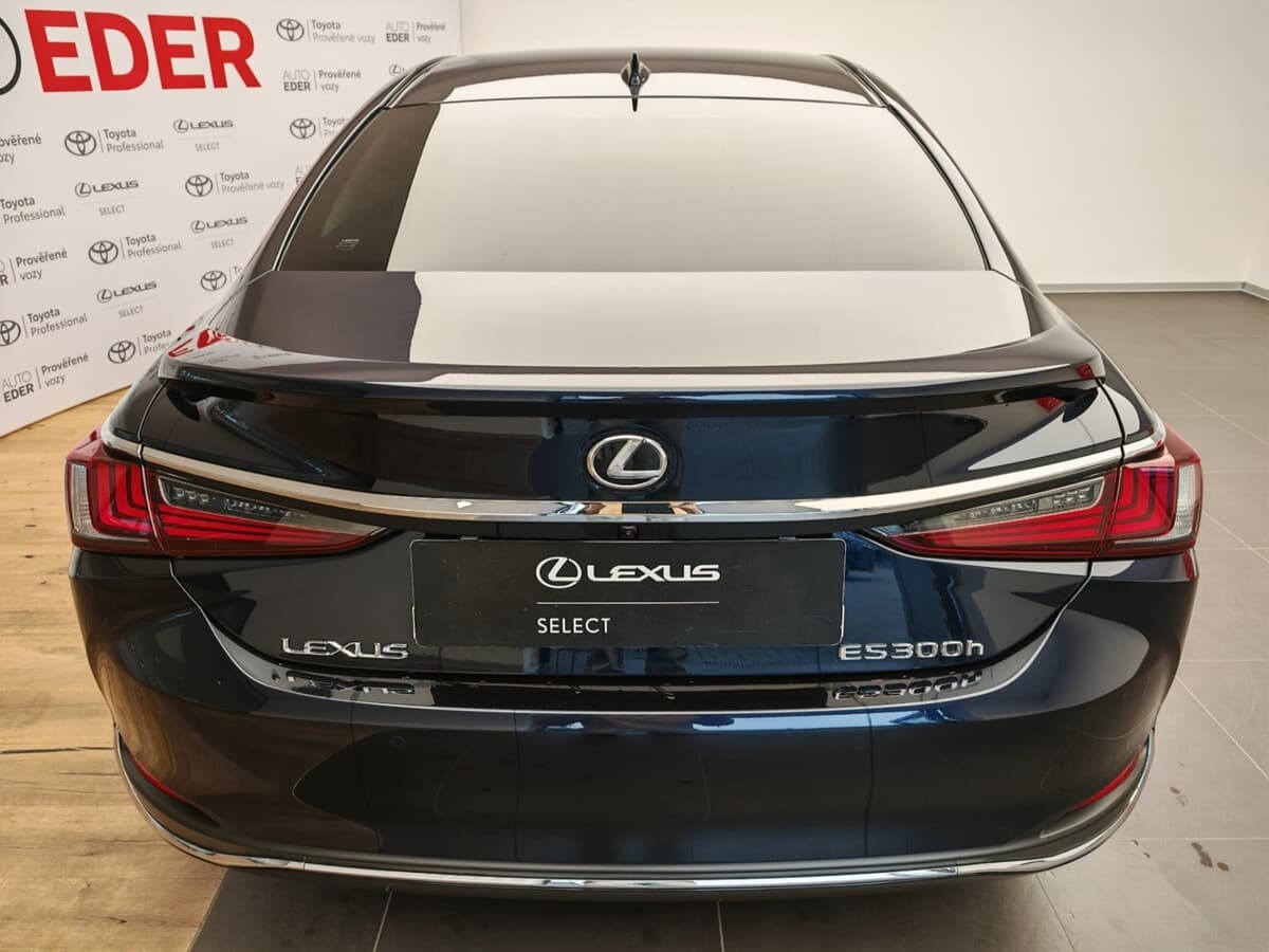 2024 Lexus Ostatní - 5