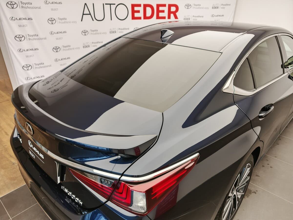 2024 Lexus Ostatní - 9