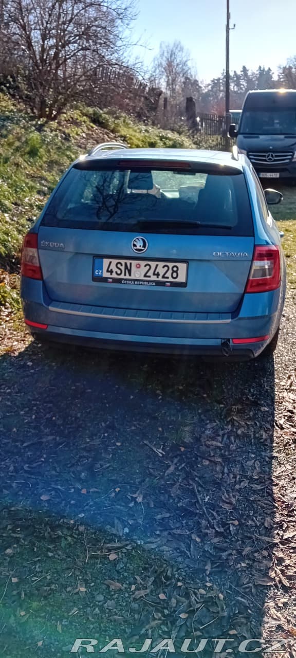 2019 Škoda Octavia - 5