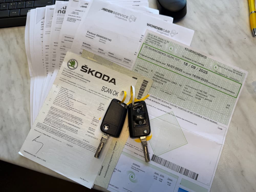 2016 Škoda Rapid - 18