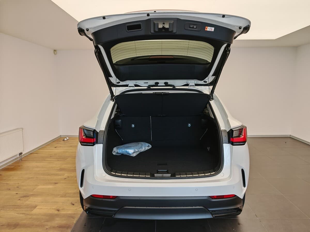 2024 Lexus Ostatní - 13