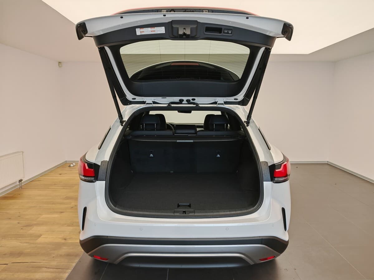2025 Lexus Rx - 12