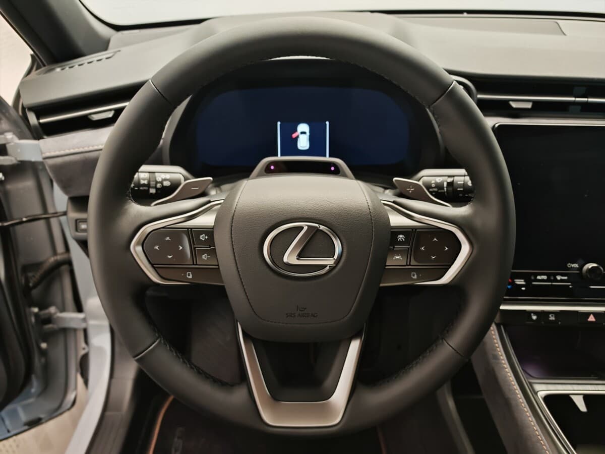 2025 Lexus Ostatní - 17