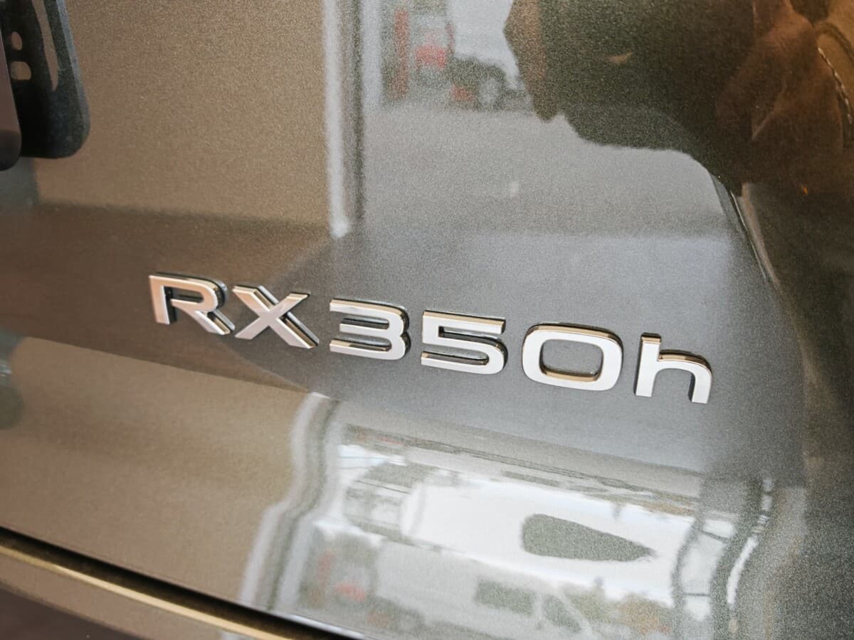 2025 Lexus Rx - 11