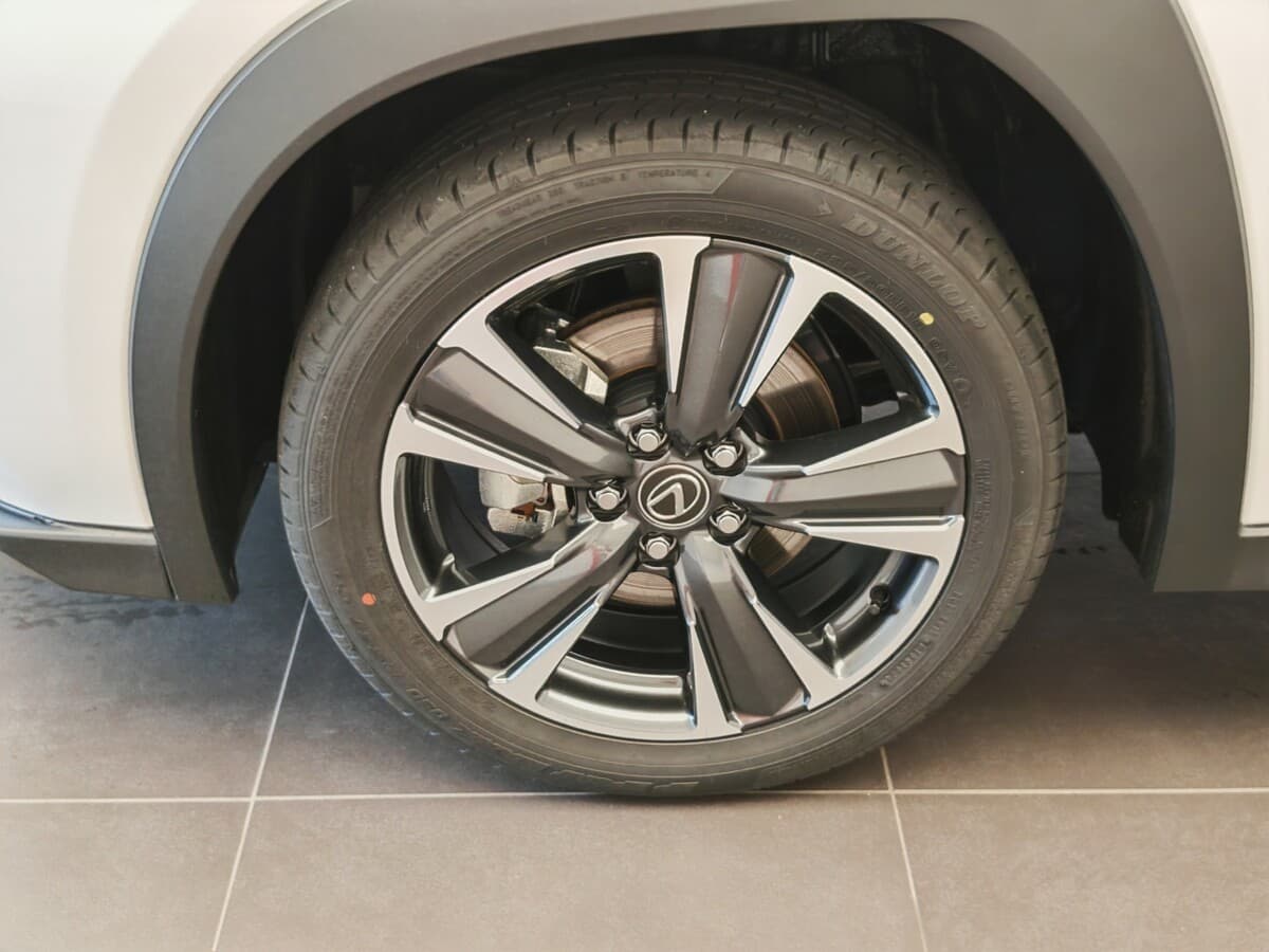 2024 Lexus Ostatní - 10