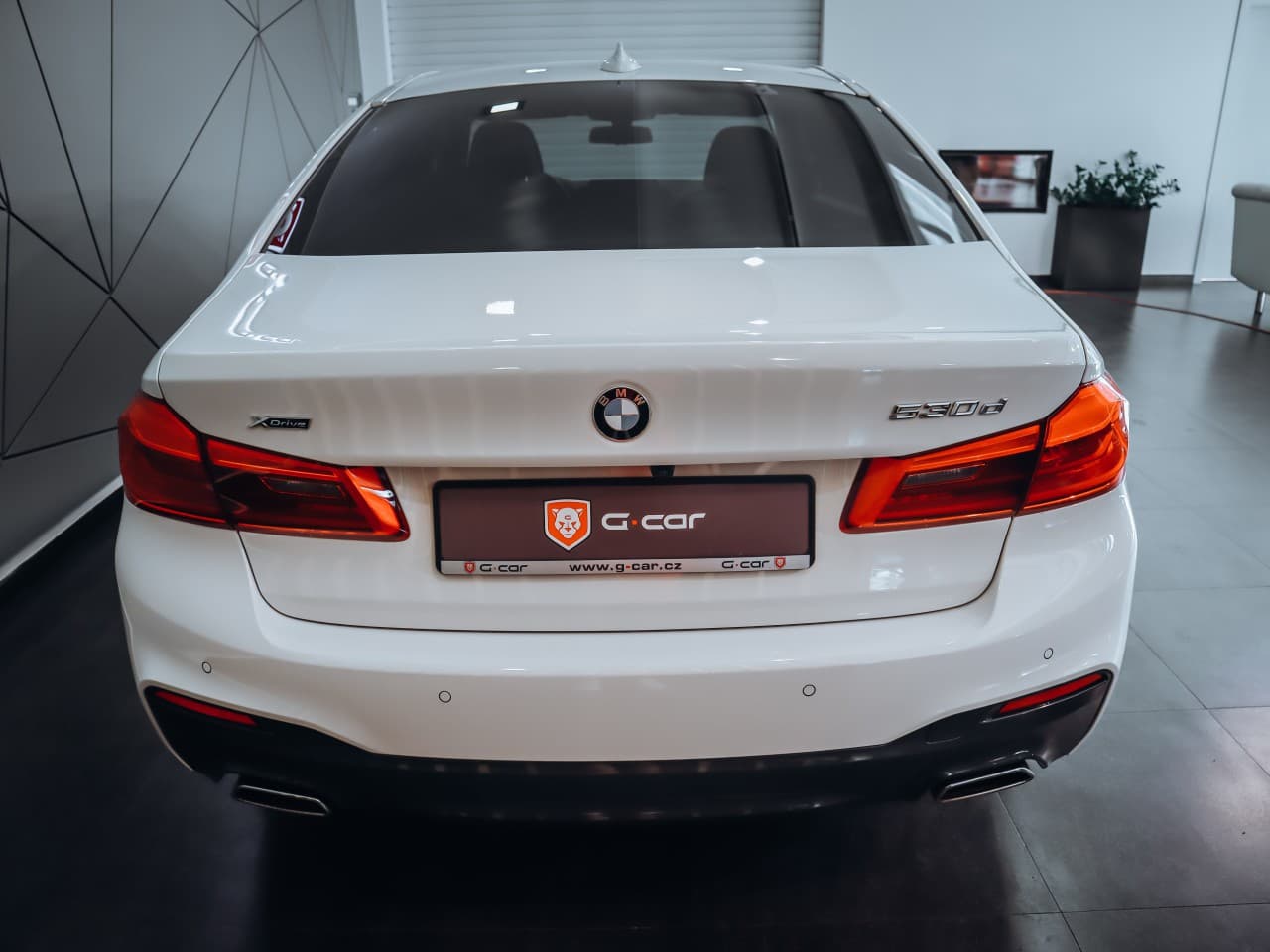 2019 BMW 5-Series - 6