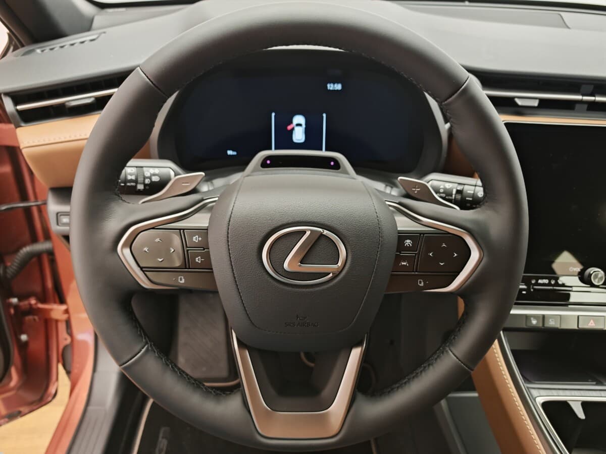 2025 Lexus Ostatní - 17