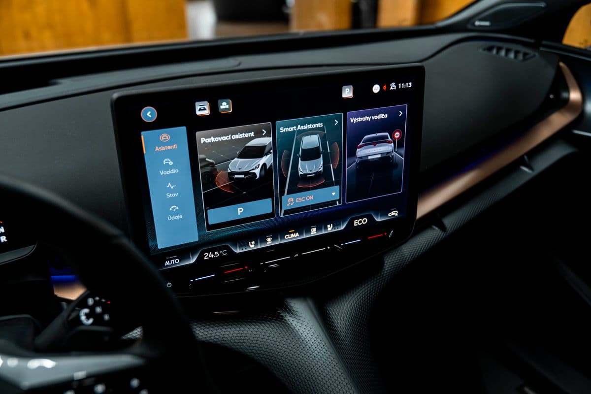 2024 Cupra Ostatní - 10