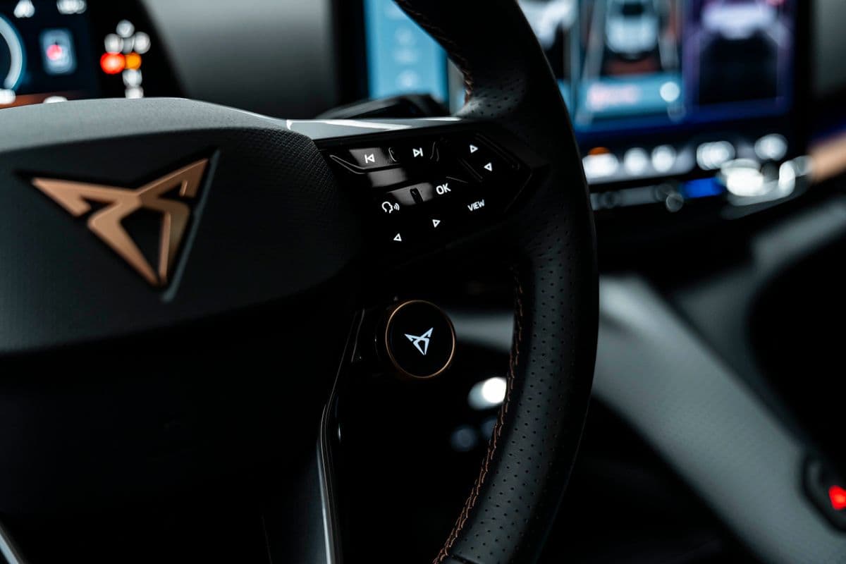 2024 Cupra Ostatní - 16