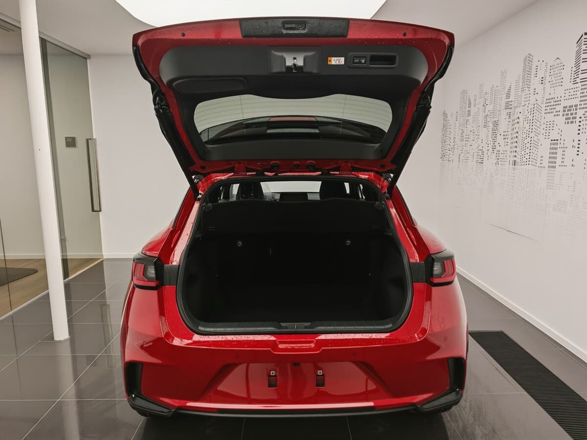 2025 Lexus Ostatní - 11